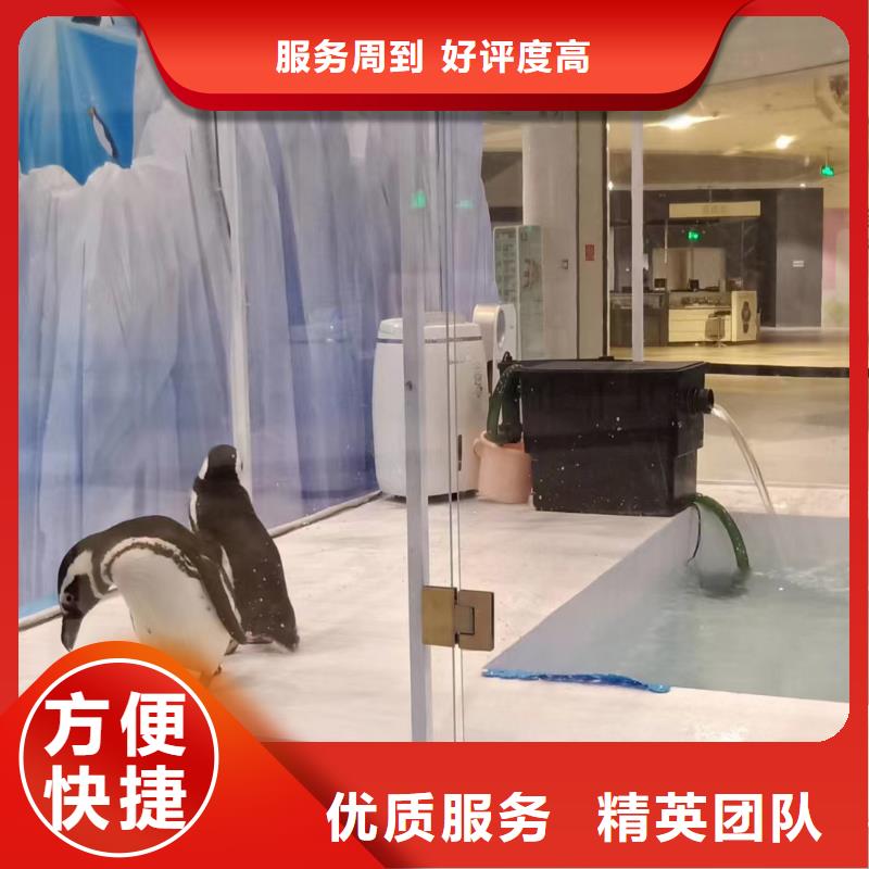 海洋生物展租赁