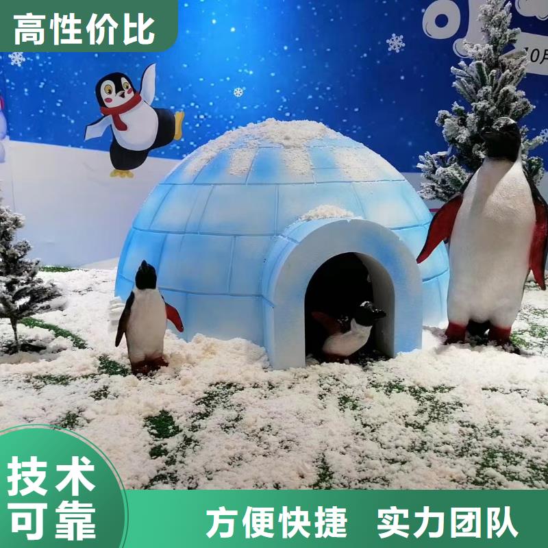 海狮表演租赁哪里有