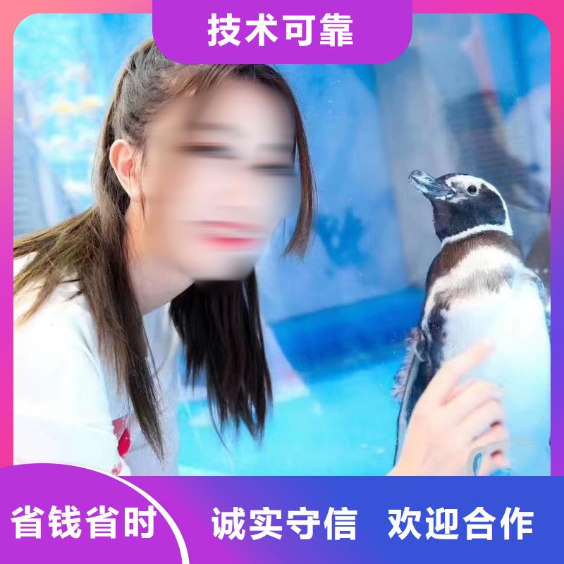 【图】海洋展出租生产厂家