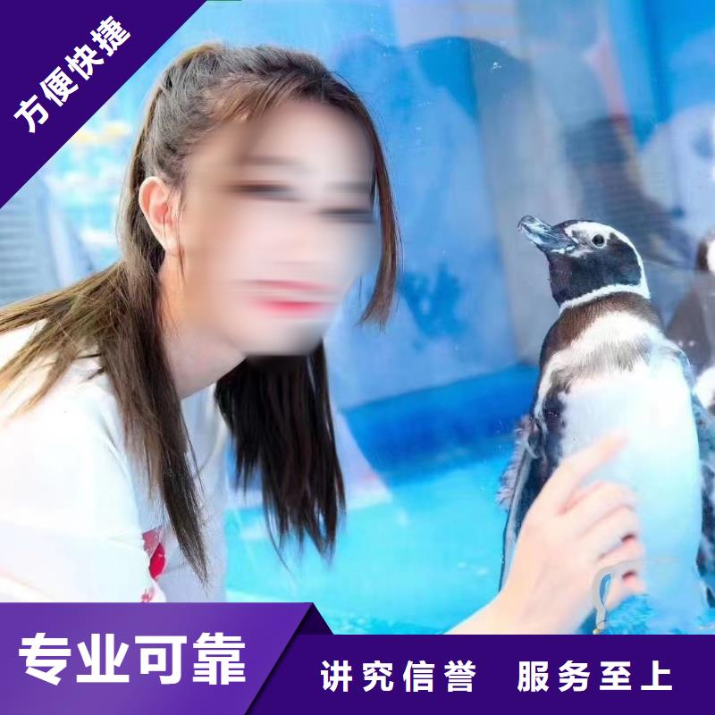 美人鱼表演出租联系电话