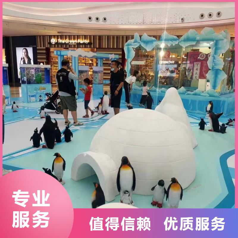 哪有出租企鹅的庆典活动