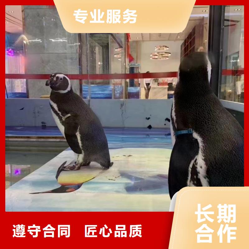 海洋生物展租赁