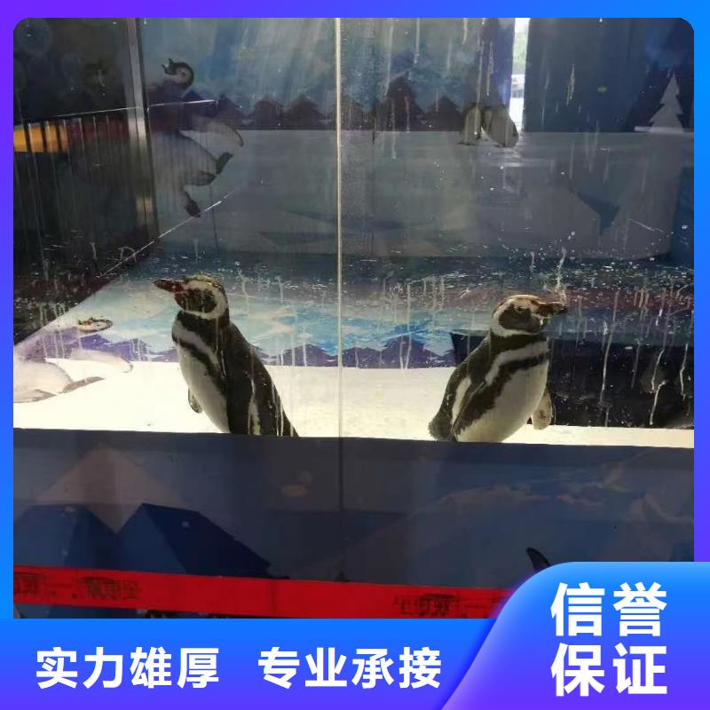 海洋生物展出租价格优惠