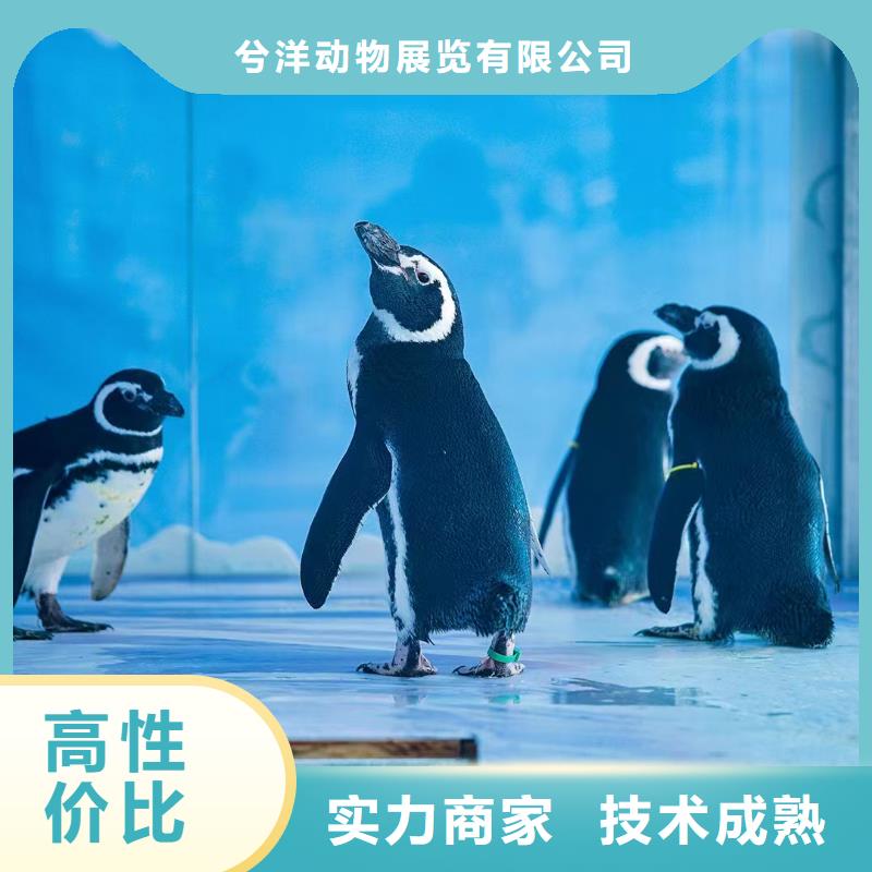 海洋生物展出租主题展览