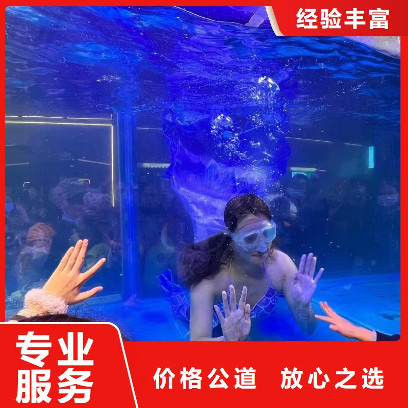 【海洋主题动物表演】企鹅出租表演质量保证