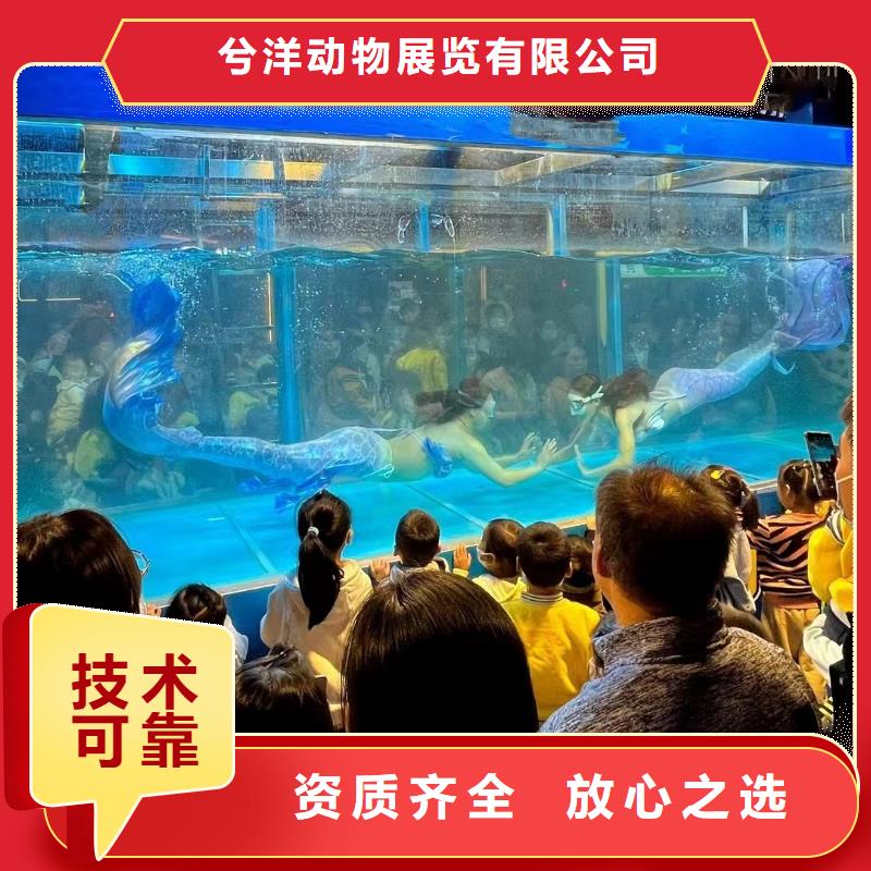 租赁美人鱼表演