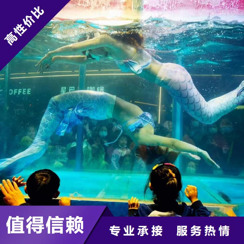 哪有出租企鹅的庆典活动