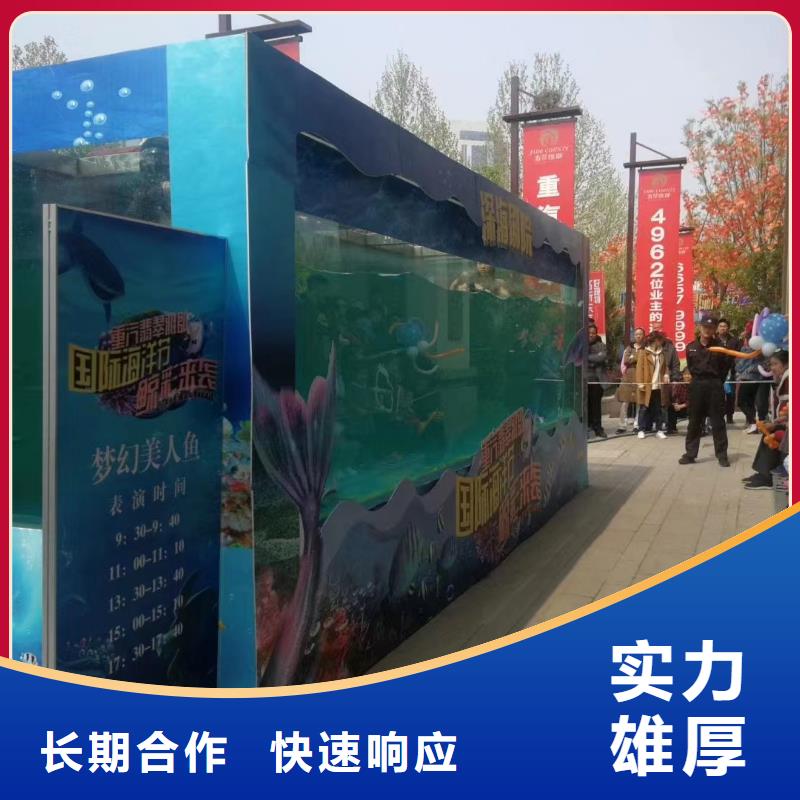 海洋主题动物表演海狮表演出租质量保证