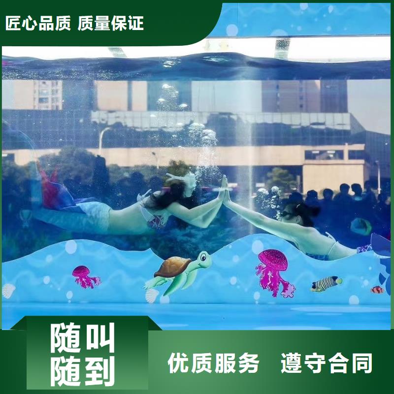 【海洋主题动物表演】企鹅出租表演质量保证