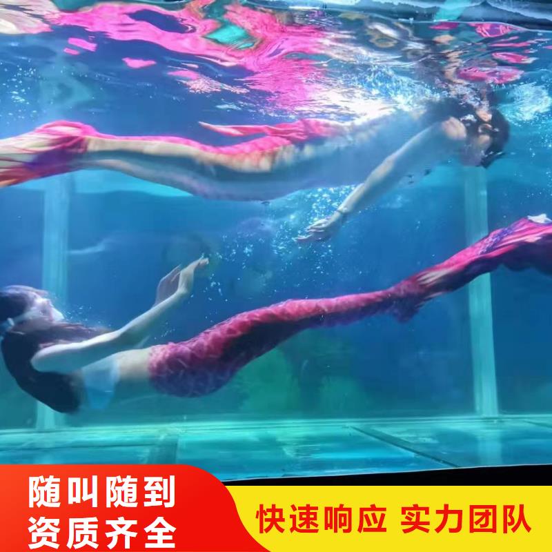 企鹅租赁活动方案
