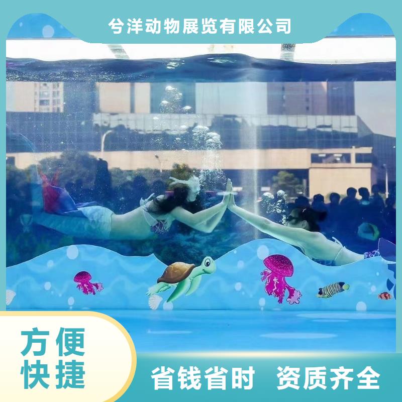 美人鱼表演出租联系电话
