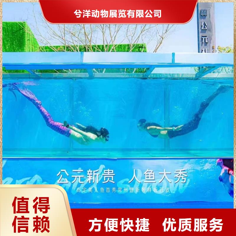 鳄鱼表演出租一手资源