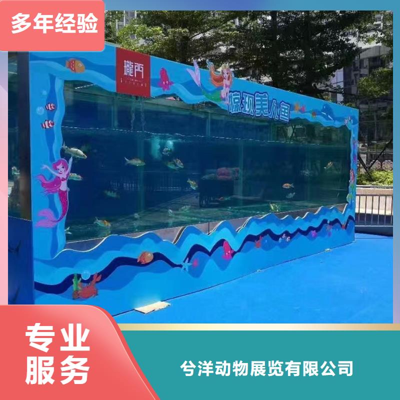 企鹅租赁厂销价优