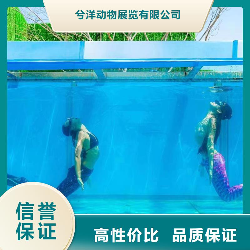 哪有出租海狮表演的动物出租