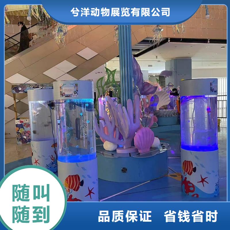 海洋生物展出租价格优惠