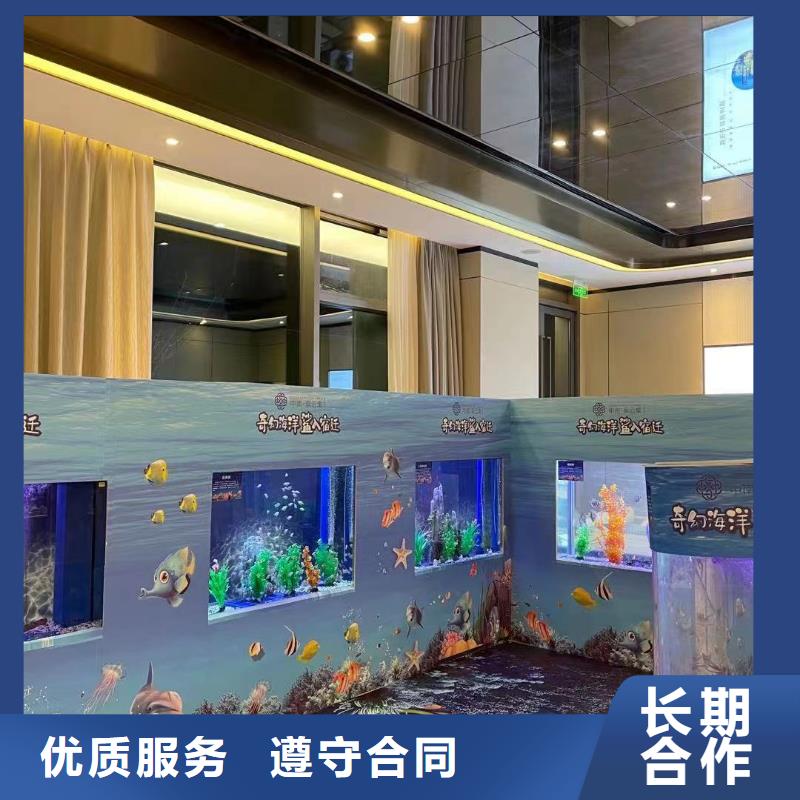 海洋主题动物表演海狮表演出租信誉良好