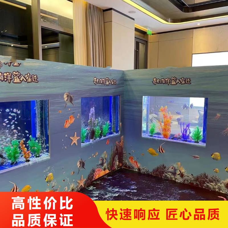 海狮表演出租公司