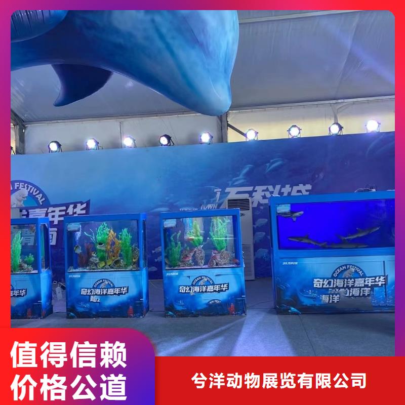 企鹅租赁活动方案