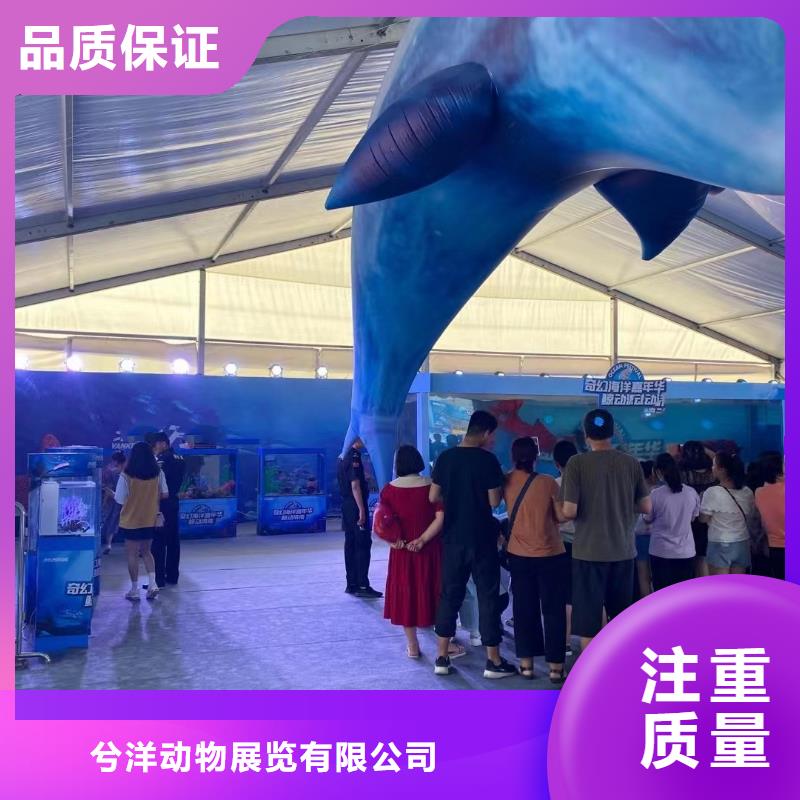 海狮表演出租
