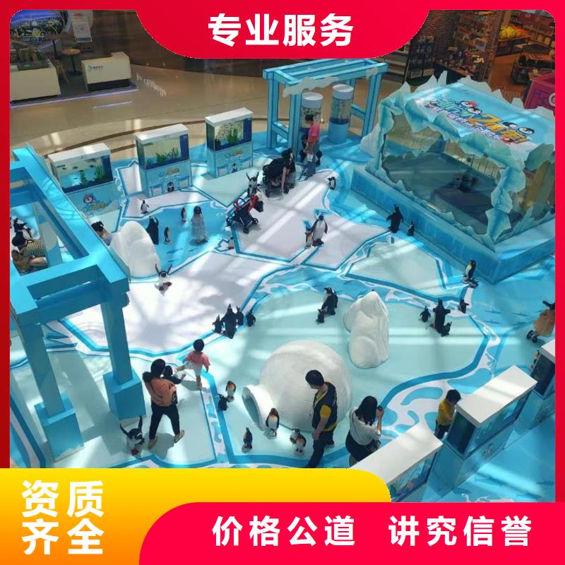 海洋主题动物表演海狮表演出租质量保证