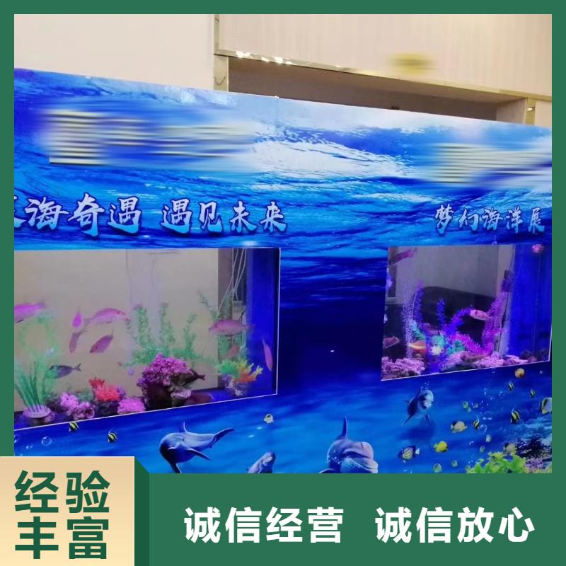 海洋主题动物表演海狮表演出租信誉良好