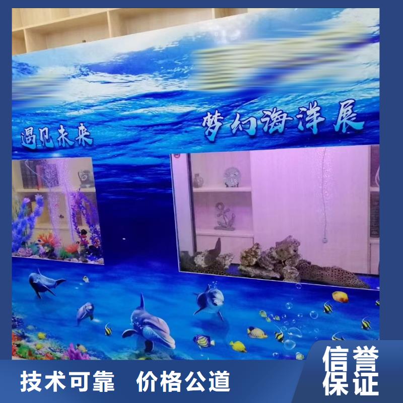 海狮表演租赁全国承接