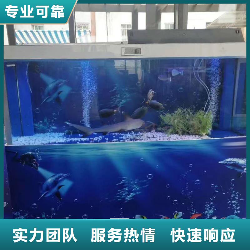 海狮表演租赁哪里有