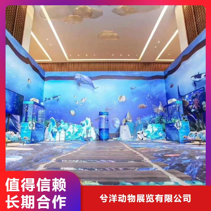 哪有出租企鹅的活动方案