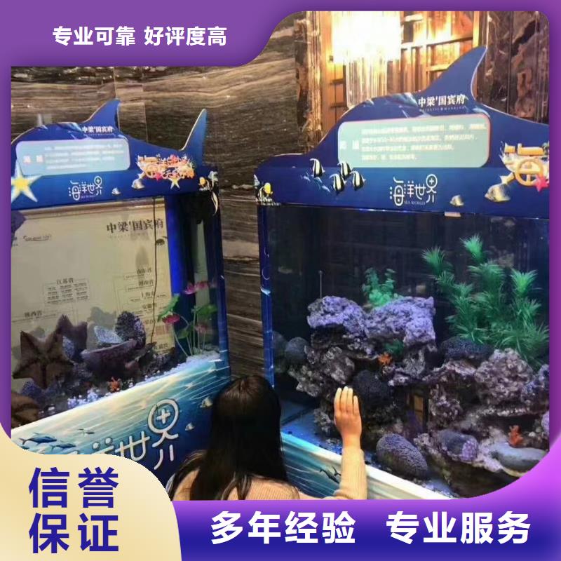 海狮表演租赁全国承接