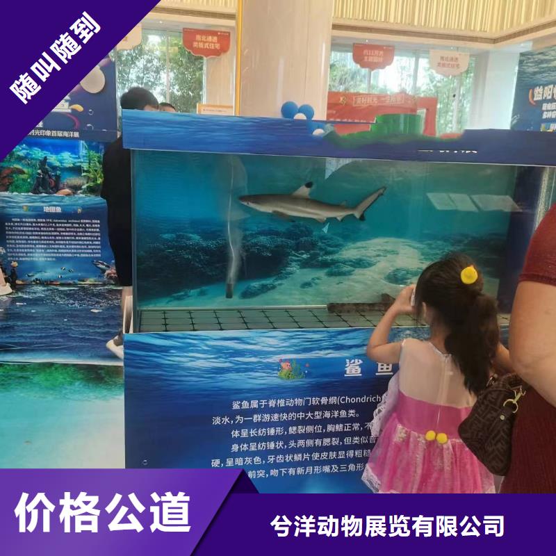 海洋生物展出租主题展览