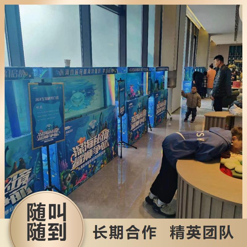 海洋主题动物表演-出租表演羊驼专业公司