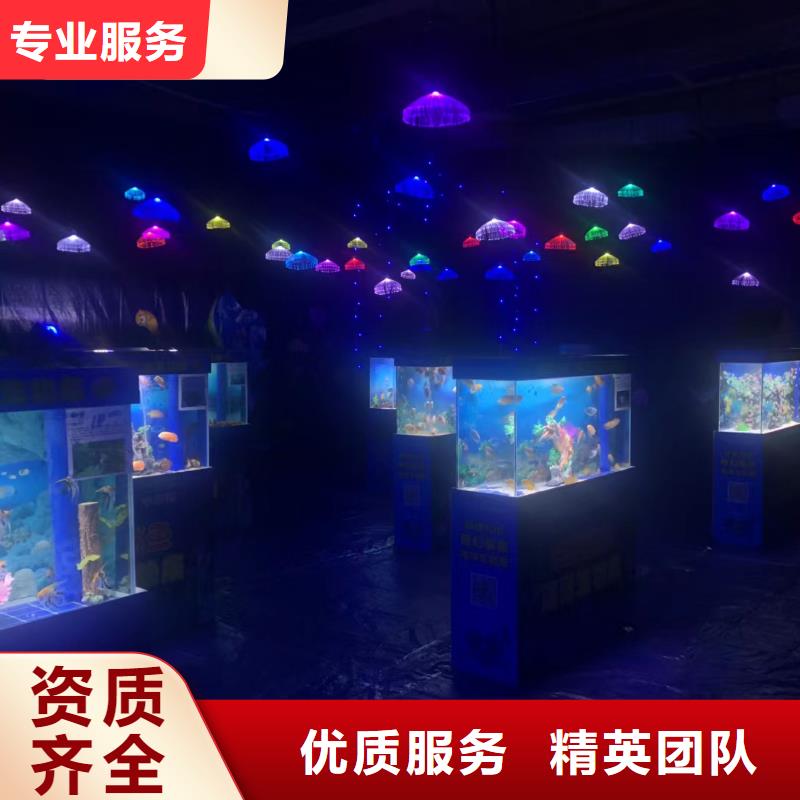 企鹅出租