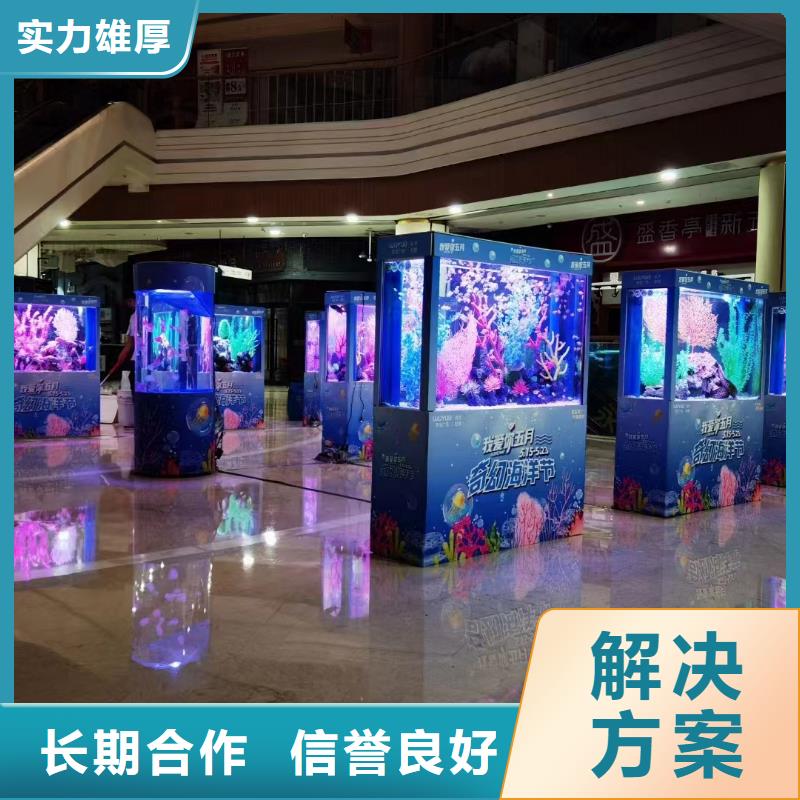海狮表演出租公司