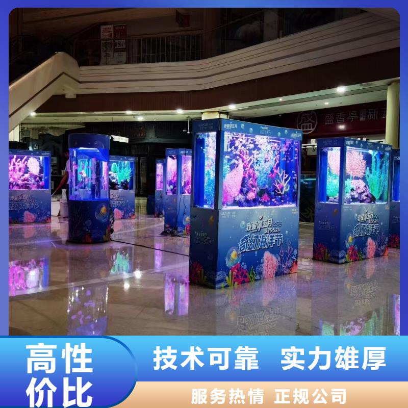 海洋主题动物表演海狮表演出租质量保证