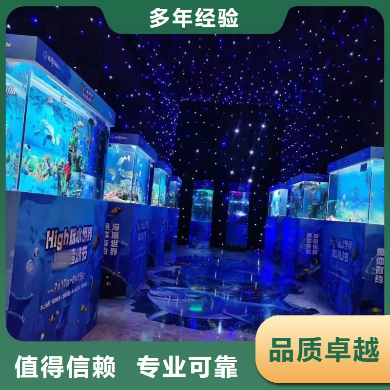 海狮表演