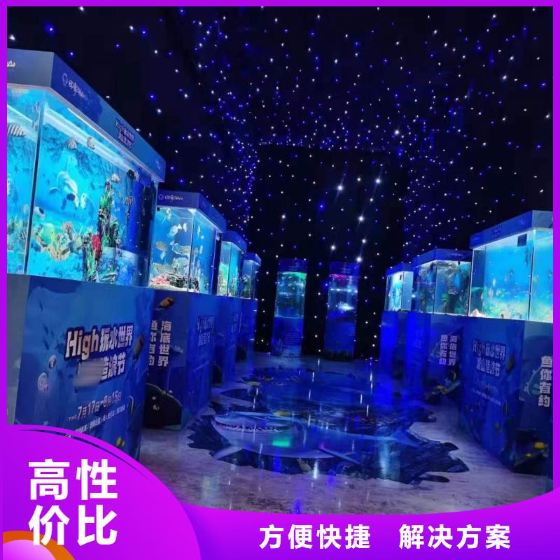 海洋主题动物表演海狮表演出租质量保证