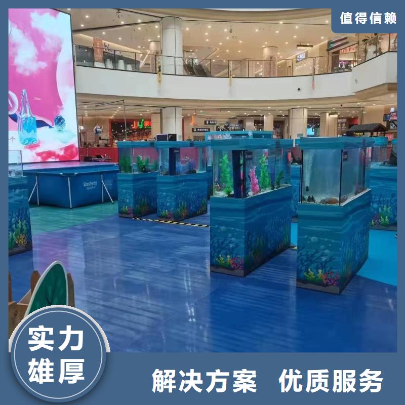 海狮表演租赁一手资源