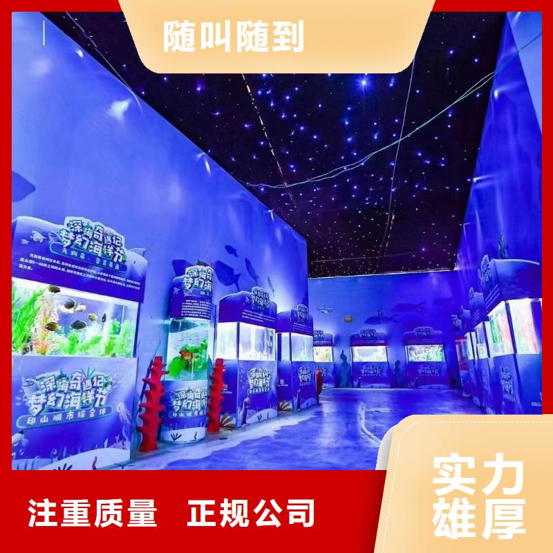 【海洋主题动物表演】海狮表演出租拒绝虚高价