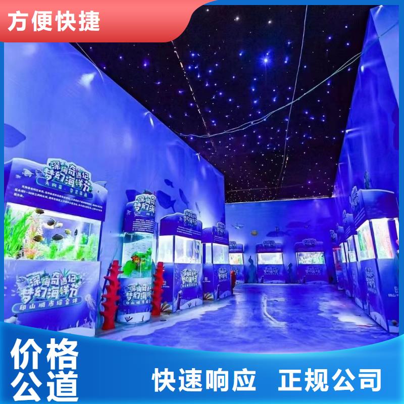 海狮表演租赁全国承接