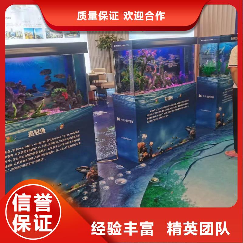 海狮表演出租公司