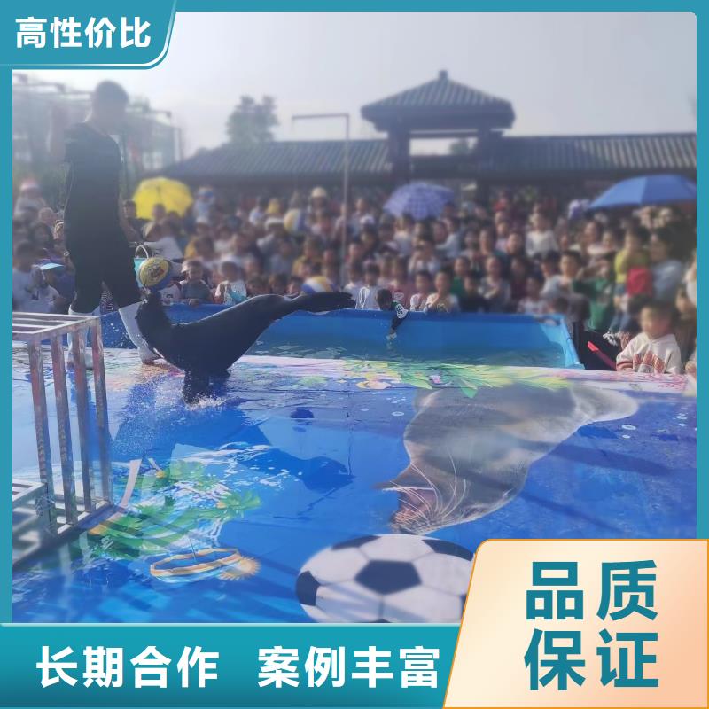 海洋主题动物表演-出租表演羊驼专业公司