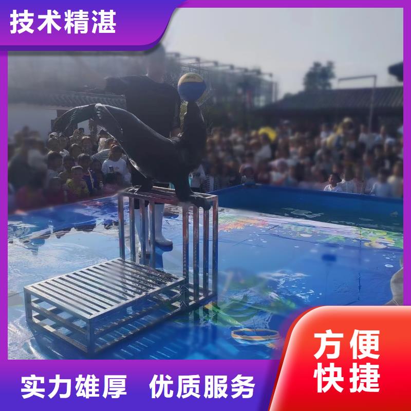 企鹅租赁诚信厂家
