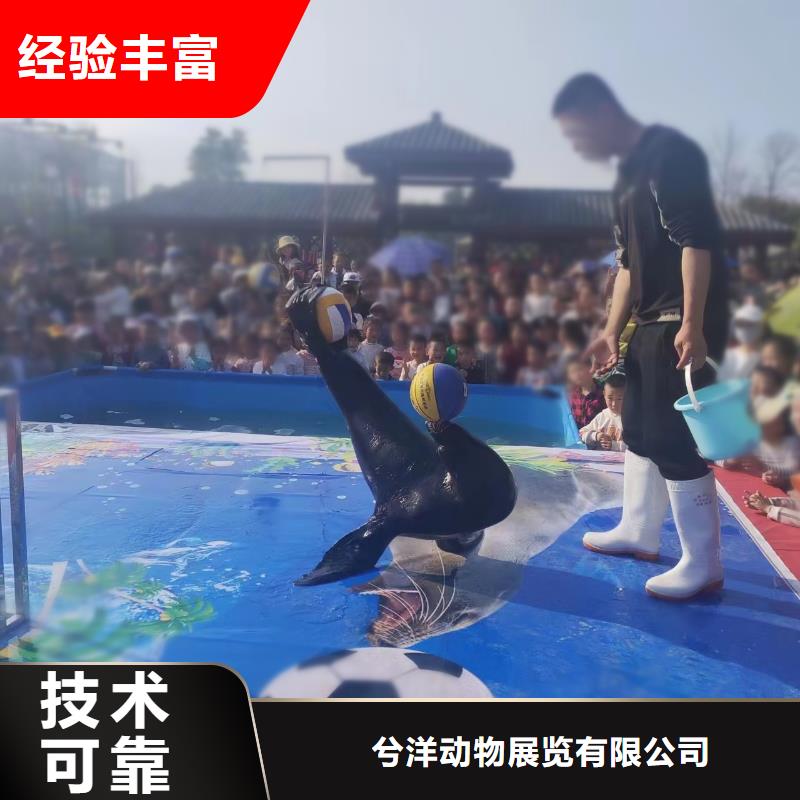 海洋生物展出租主题展览