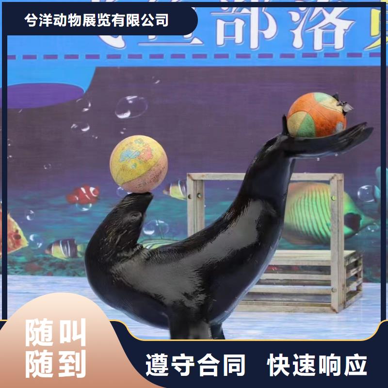 企鹅出租点击查看