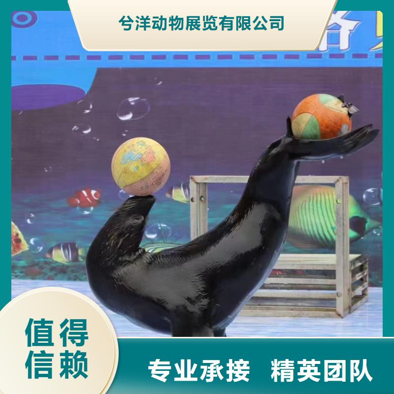 海洋生物鱼缸展租赁一手资源