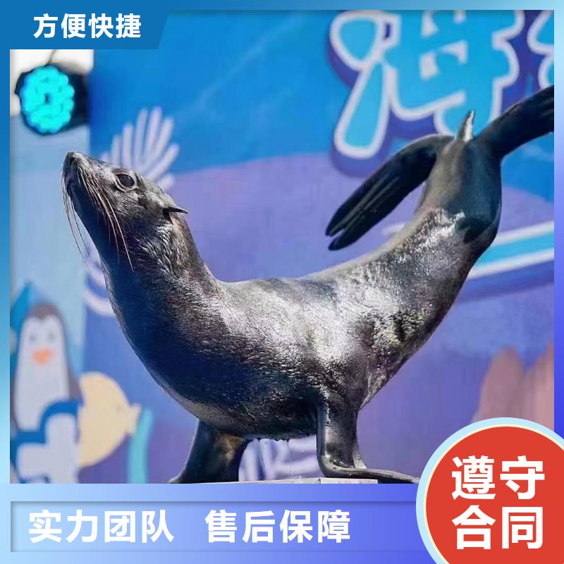 企鹅出租点击查看