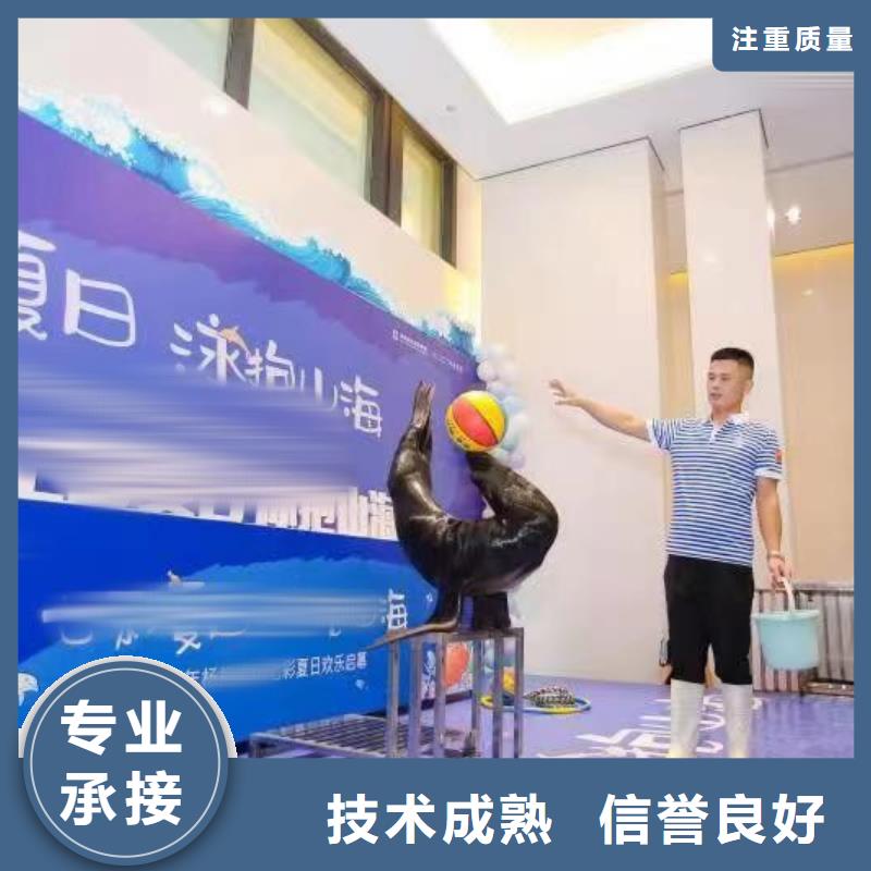 海洋主题动物表演马戏团表演出租正规