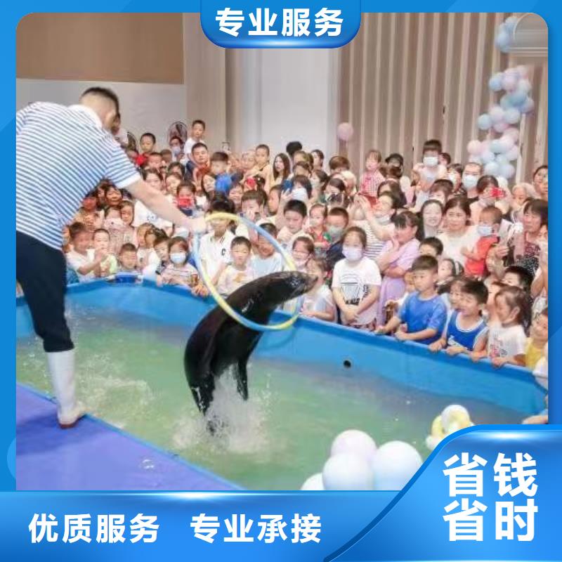 企鹅出租价格全国承接