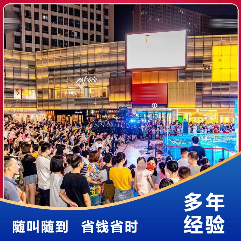 海洋主题动物表演海狮表演出租信誉良好