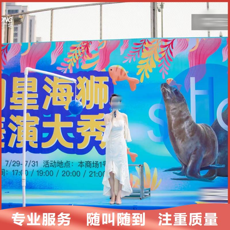 哪有出租美人鱼表演的品种保证